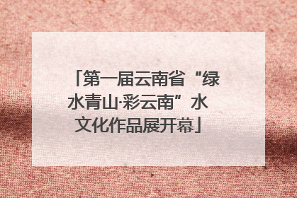 第一届云南省“绿水青山·彩云南”水文化作品展开幕