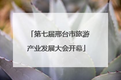 第七届邢台市旅游产业发展大会开幕