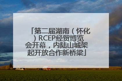 第二届湖南（怀化）RCEP经贸博览会开幕，内陆山城架起开放合作新桥梁