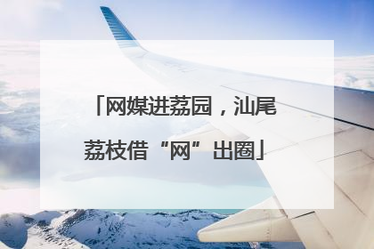 网媒进荔园，汕尾荔枝借“网”出圈
