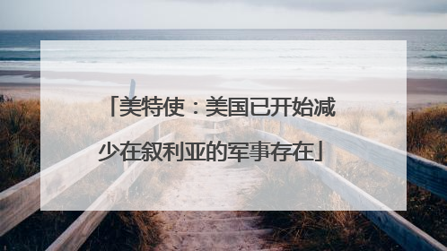 美特使：美国已开始减少在叙利亚的军事存在