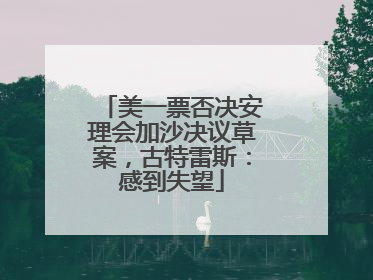 美一票否决安理会加沙决议草案，古特雷斯：感到失望