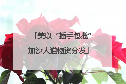 美以“插手包揽”加沙人道物资分发