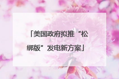 美国政府拟推“松绑版”发电新方案