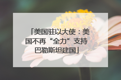 美国驻以大使：美国不再“全力”支持巴勒斯坦建国