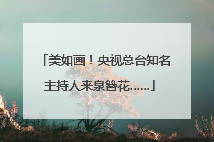 美如画！央视总台知名主持人来泉簪花……