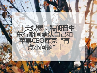 美媒爆：特朗普中东行期间承认自己和苹果CEO库克“有点小问题”