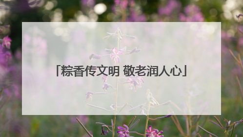 粽香传文明 敬老润人心