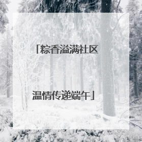 粽香溢满社区 温情传递端午
