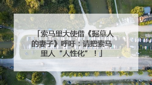 索马里大使借《掘墓人的妻子》呼吁：请把索马里人“人性化”！