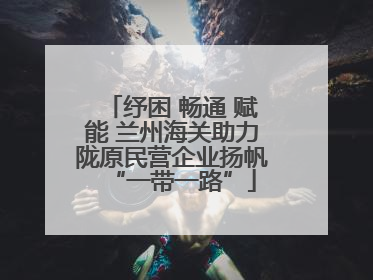 纾困 畅通 赋能 兰州海关助力陇原民营企业扬帆“一带一路”