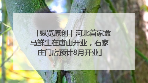 纵览原创｜河北首家盒马鲜生在唐山开业，石家庄门店预计8月开业