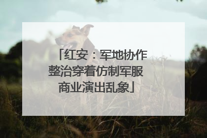 红安：军地协作整治穿着仿制军服商业演出乱象