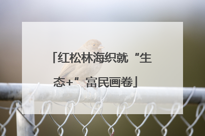 红松林海织就“生态+”富民画卷
