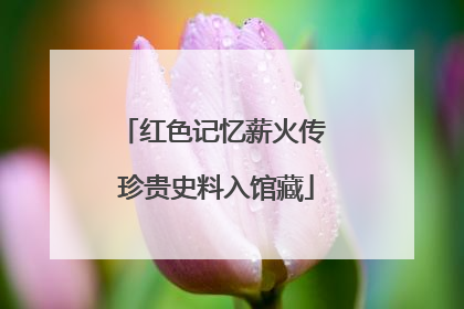 红色记忆薪火传 珍贵史料入馆藏
