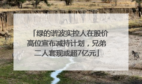 绿的谐波实控人在股价高位宣布减持计划，兄弟二人套现或超7亿元