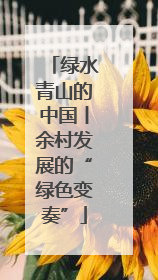 绿水青山的中国丨余村发展的“绿色变奏”