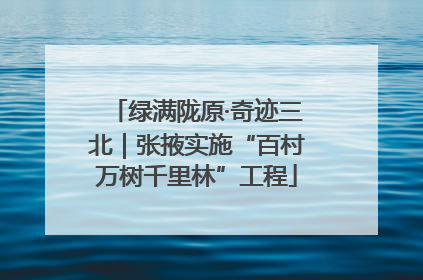 绿满陇原·奇迹三北｜张掖实施“百村万树千里林”工程