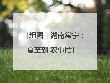 组图丨湖南常宁：夏至到 农事忙