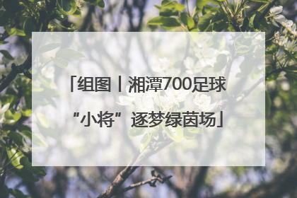 组图丨湘潭700足球“小将”逐梦绿茵场