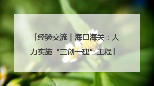 经验交流｜海口海关：大力实施“三创一建”工程