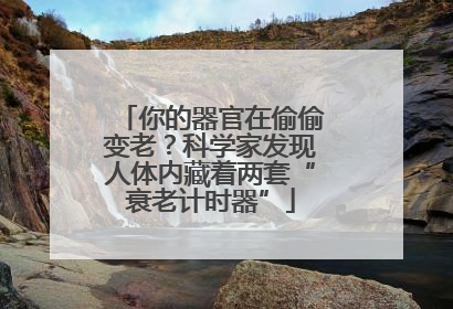 你的器官在偷偷变老？科学家发现人体内藏着两套“衰老计时器”