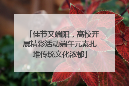 佳节又端阳，高校开展精彩活动端午元素扎堆传统文化浓郁