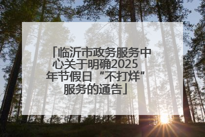 临沂市政务服务中心关于明确2025年节假日“不打烊”服务的通告