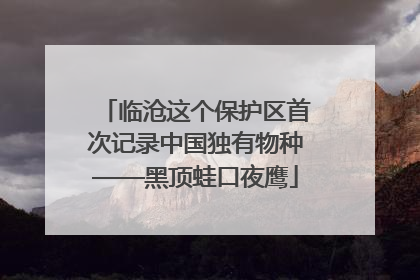 临沧这个保护区首次记录中国独有物种——黑顶蛙口夜鹰