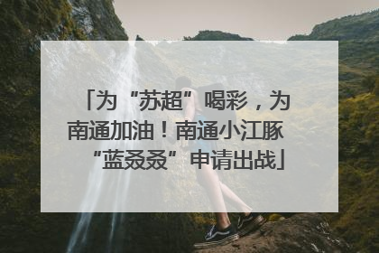 为“苏超”喝彩，为南通加油！南通小江豚“蓝叒叒”申请出战