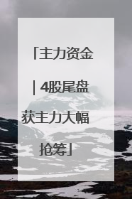 主力资金｜4股尾盘获主力大幅抢筹