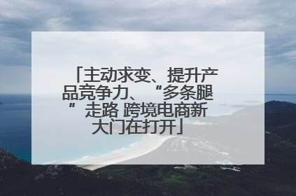 主动求变、提升产品竞争力、“多条腿”走路 跨境电商新大门在打开