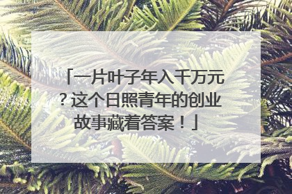 一片叶子年入千万元？这个日照青年的创业故事藏着答案！