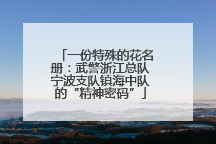 一份特殊的花名册：武警浙江总队宁波支队镇海中队的“精神密码”