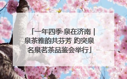 一年四季·泉在济南｜泉茶雅韵共芬芳 趵突泉名泉茗茶品鉴会举行