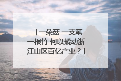 一朵菇 一支笔 一根竹 何以撬动浙江山区百亿产业？