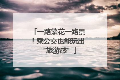 一路繁花一路景！乘公交也能玩出“旅游感”