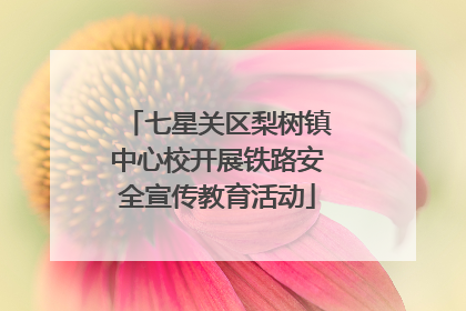 七星关区梨树镇中心校开展铁路安全宣传教育活动