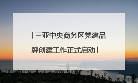 三亚中央商务区党建品牌创建工作正式启动