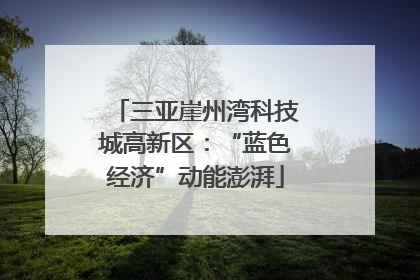 三亚崖州湾科技城高新区：“蓝色经济”动能澎湃