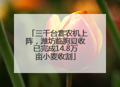 三千台套农机上阵，潍坊临朐夏收已完成14.8万亩小麦收割