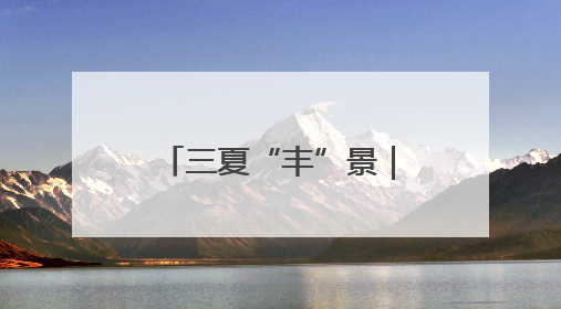 三夏“丰”景｜“五良”齐迎北京小麦收获日
