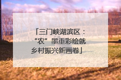 三门峡湖滨区：“农”墨重彩绘就乡村振兴新画卷