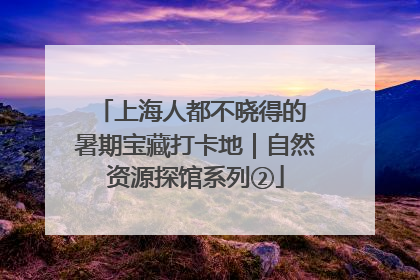 上海人都不晓得的 暑期宝藏打卡地｜自然资源探馆系列②