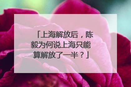 上海解放后，陈毅为何说上海只能算解放了一半？