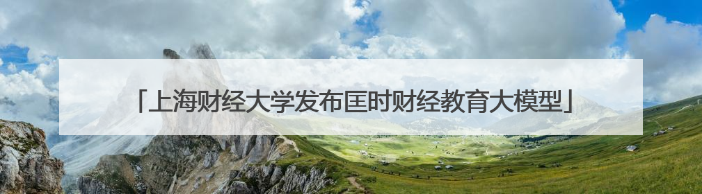 上海财经大学发布匡时财经教育大模型