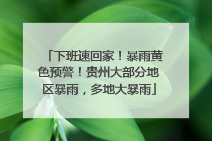 下班速回家！暴雨黄色预警！贵州大部分地区暴雨，多地大暴雨