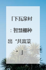 下瓦泉村：智慧棚种出“共富菜”
