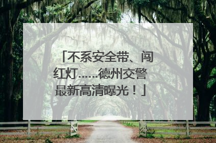 不系安全带、闯红灯……德州交警最新高清曝光！