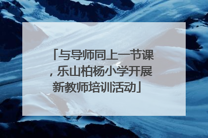 与导师同上一节课，乐山柏杨小学开展新教师培训活动